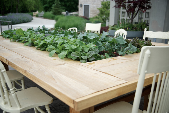 From Field to Table