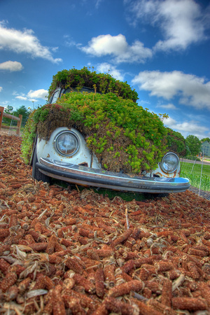 Powerhouse Plants - "A Plant that Turns Wheels"