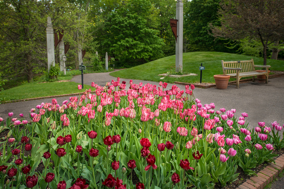 The 2012 Tulip Display