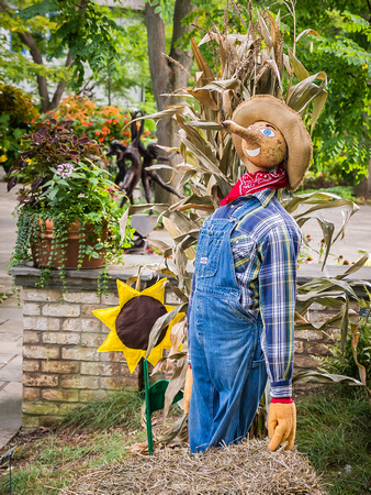 Scarecrows in the Garden 2014