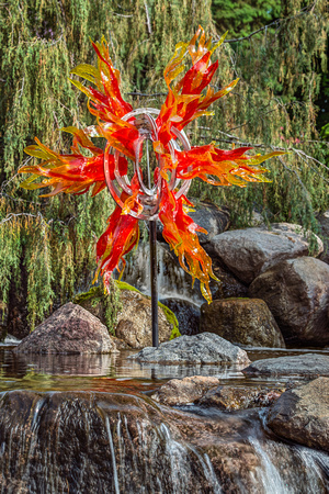 Nature in Glass.