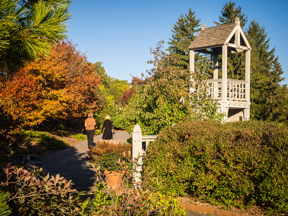 Walking by Kitchen Herb Garden