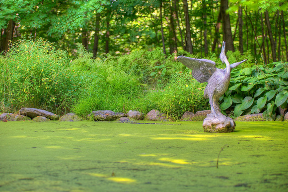 Blue Heron III