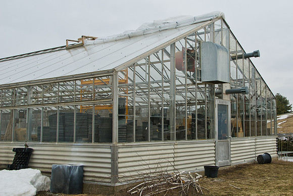 Greenhouse & Headshop Deterioration