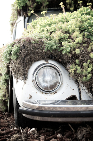 Powerhouse Plants - "A Plant that Turns Wheels"