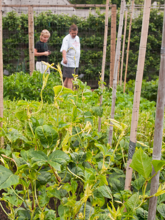 Home Demonstration Gardens