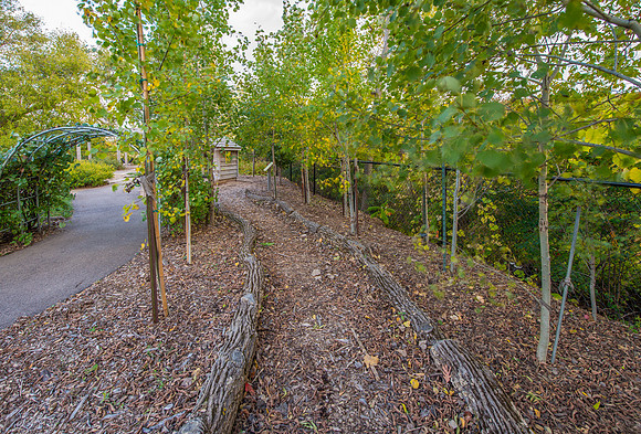 The Green Play Yard 2014