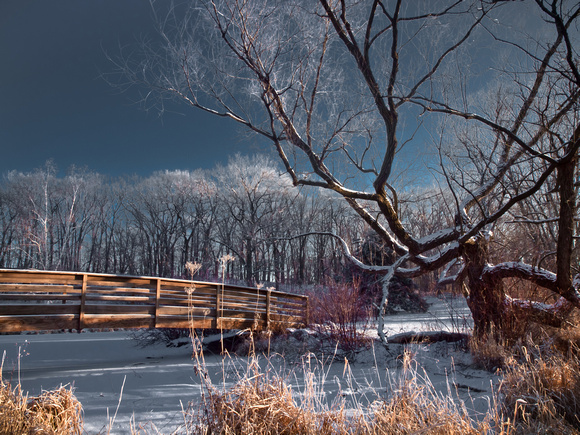 Arboretum Footbridge at Sunrise