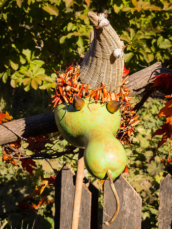 Arboretum Autumn Experience