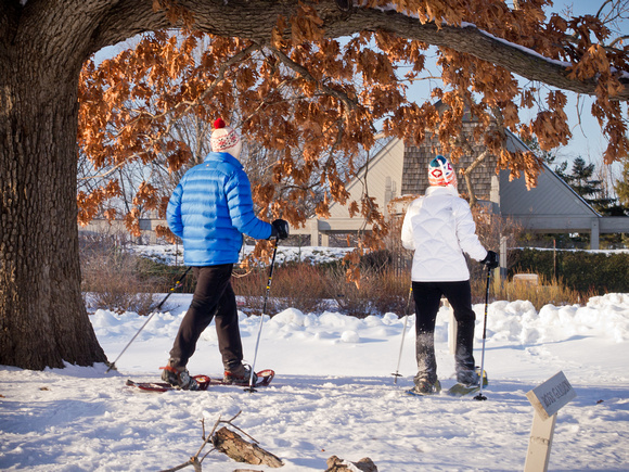 snowshoeing