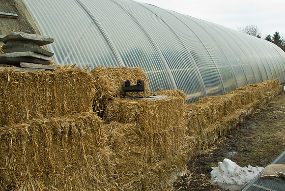 Greenhouse & Headshop Deterioration