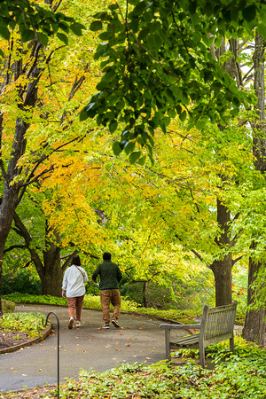Autumn Grounds 2022