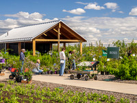 2024 Plant Sale (REQUEST-20)