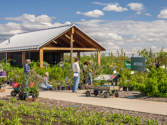 Annual Plant Sale 2024