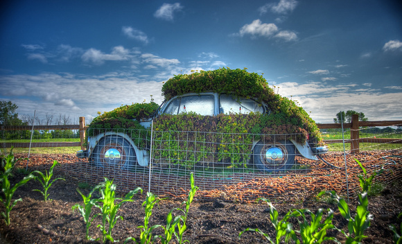Powerhouse Plants - "A Plant that Turns Wheels"