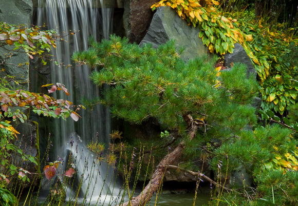 Japanese Garden Waterfall