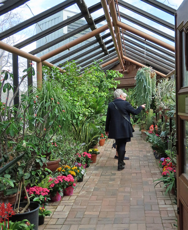2024 Spring Flower Show
