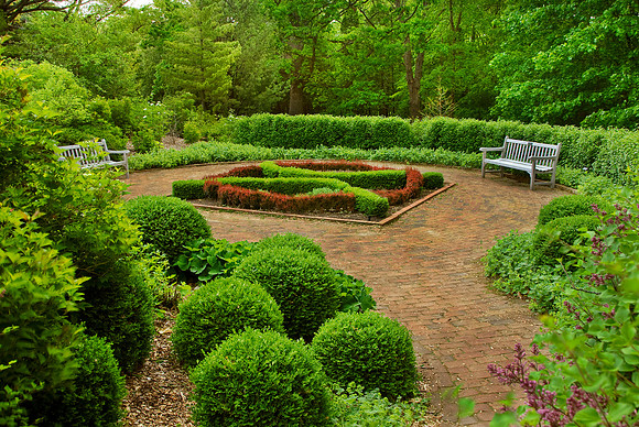 Knot Garden