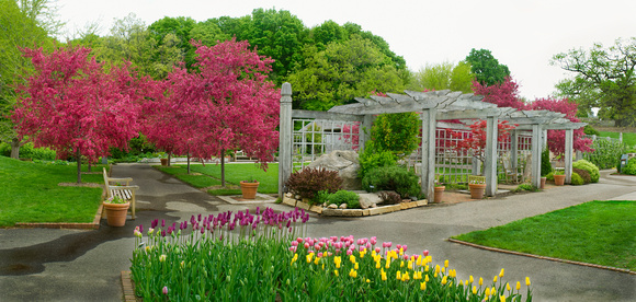 Sensory-Art Garden Spring2010 Pano